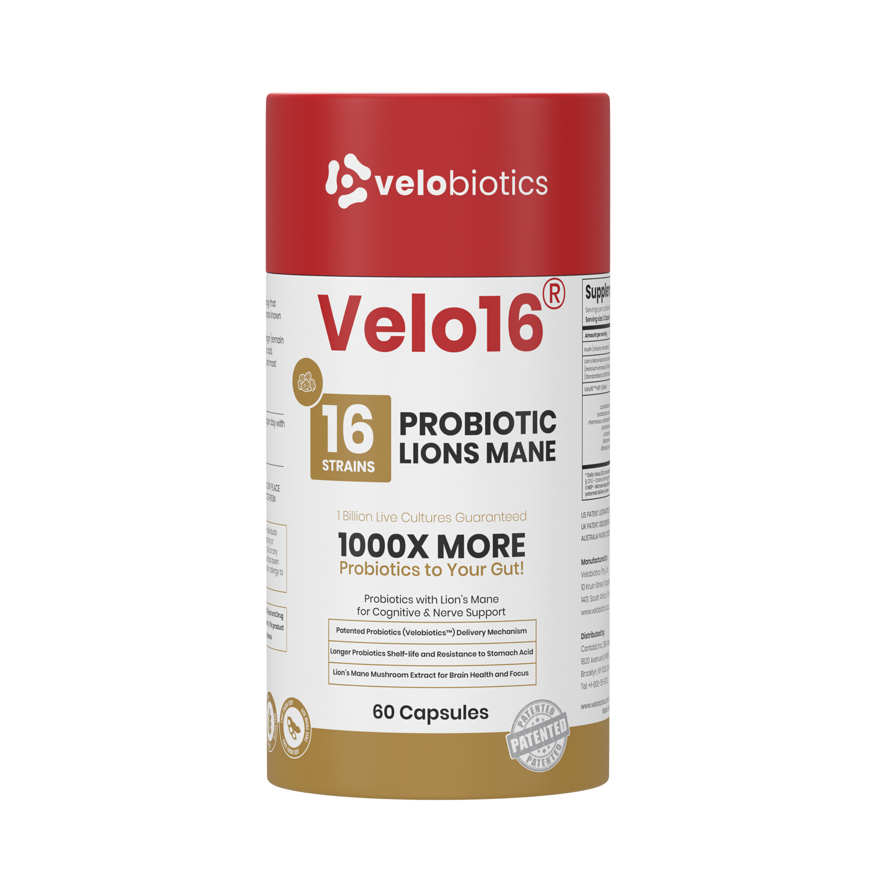 Velo16 Probiotics Lion's Mane supplement bottle for cognitive and gut health with 16 probiotic strains and Lion's Mane extract