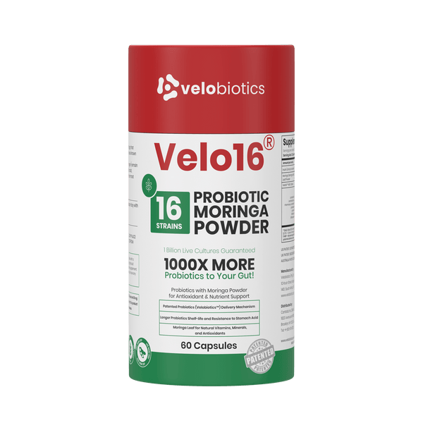Velo16 Probiotics Moringa