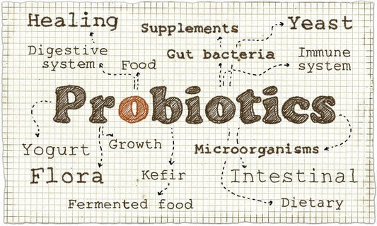 Illustration of probiotics benefits including digestive system, immune system, intestinal health, and fermented foods like yogurt and kefir
