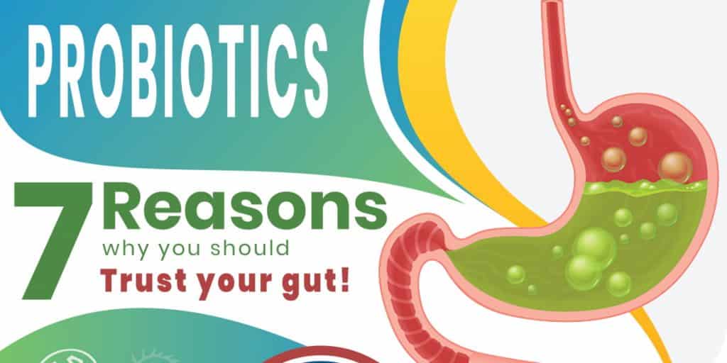Probiotics – 7 Reasons why you should trust your gut! - Velobiotics 