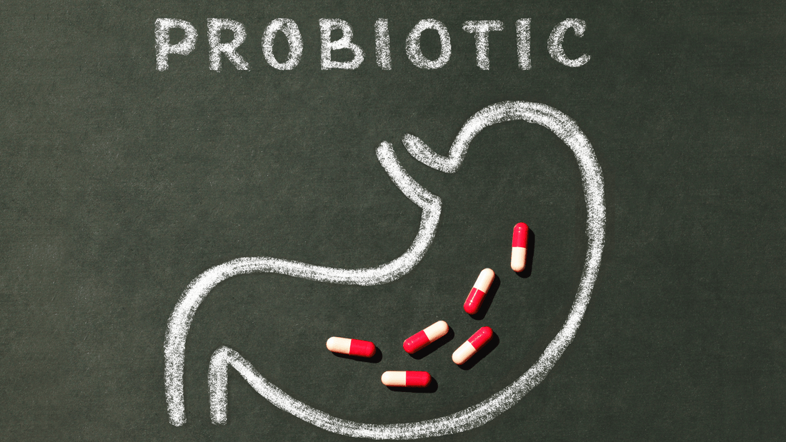 What are probiotics and what are the health benefits? - Velobiotics 