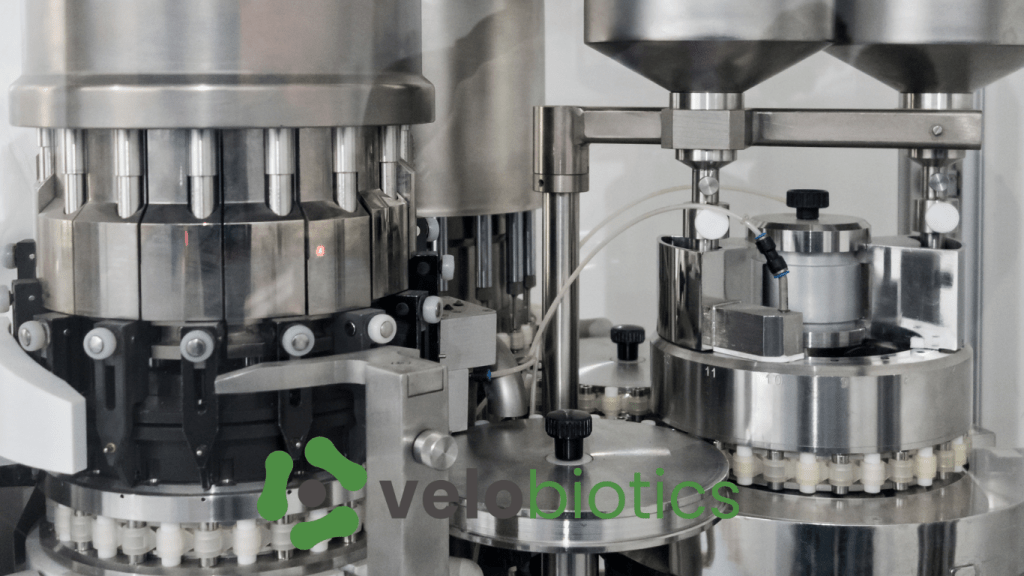 Unlocking Wellness: The Power of Velobiotics for a Healthier You - Velobiotics 