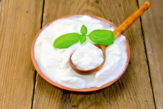 What Are Probiotics And Their Benefits For Our Health - Velobiotics 