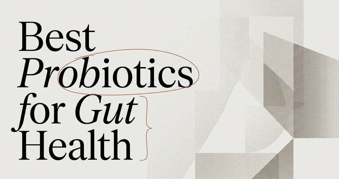 Best Probiotics for Gut Health in South Africa - Velobiotics