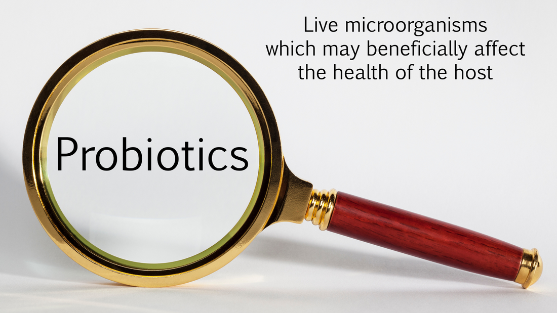 Magnifying glass highlighting the word "Probiotics" with text explaining their health benefits as live microorganisms