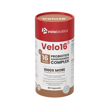 Velo16™ Probiotics Ashwagandha supplement bottle with calming and gut health benefits label