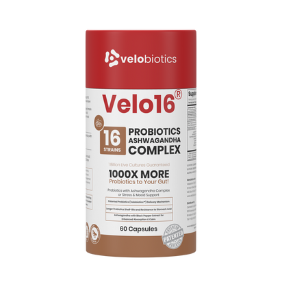 Velo16™ Probiotics Ashwagandha supplement bottle promoting stress relief and gut health with natural adaptogens and probiotics.