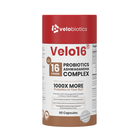 Velo16 Probiotics + Ashwagandha Complex supplement bottle with 16 strains, 60 capsules, supporting gut health and stress relief.
