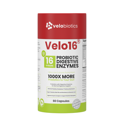 Velo16 Probiotics + Digestive Enzymes supplement bottle with 16 strains, 60 capsules for gut health and digestive support.