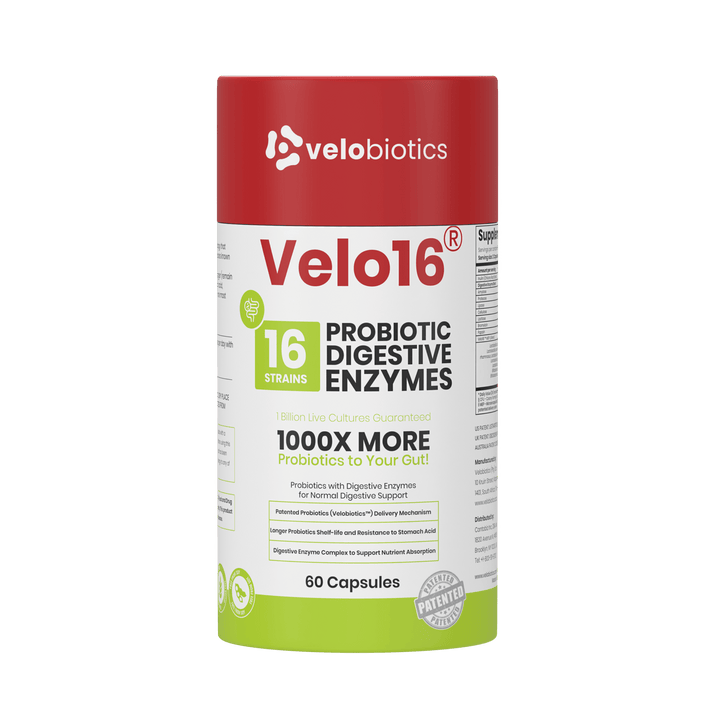 BALMINUM16×6.1/2 Velo16 Probiotic Digestive Enzymes Complex for Gut Health