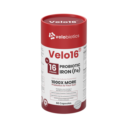 Velo16 Probiotics + Iron supplement bottle with 16-strain probiotic blend and iron for gut health and immune support.
