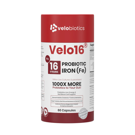 Velo16 Probiotics + Iron supplement bottle with 16-strain probiotics and iron for gut health and immune support
