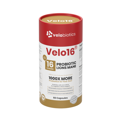Velo16 Probiotics Lion's Mane supplement bottle with 16 probiotic strains for cognitive and gut health support