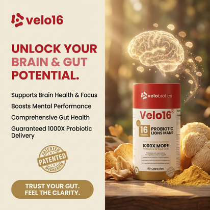 Velo16 Probiotics with Lion's Mane supplements for cognitive focus and gut health support