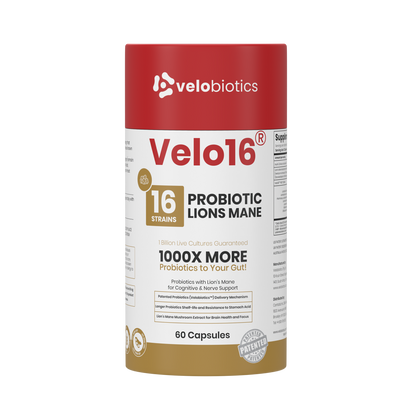 Velo16 Probiotics Lion's Mane supplement bottle for cognitive and gut health with 16 probiotic strains and Lion's Mane extract