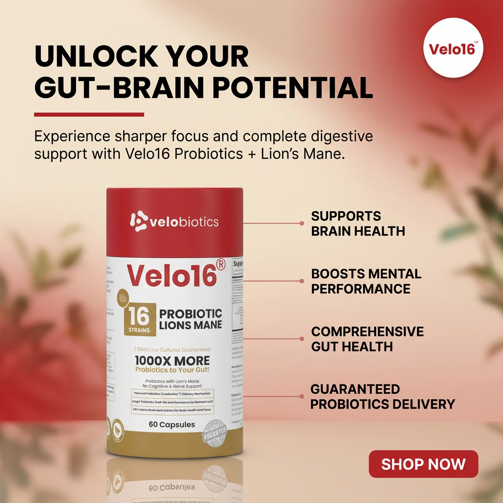Velo16 Probiotics + Lion's Mane supplement bottle enhancing focus and cognitive clarity
