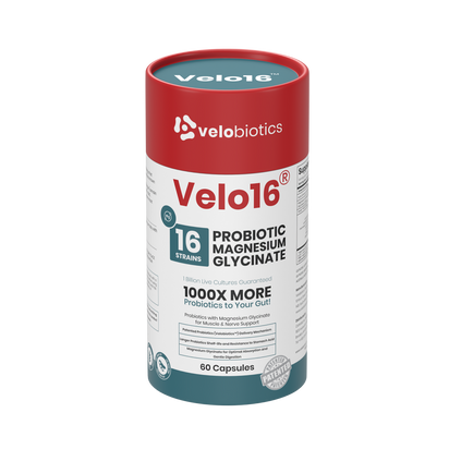 Velo16 Probiotics Magnesium Glycinate supplement bottle with 16-strain probiotic blend for gut health and muscle relaxation