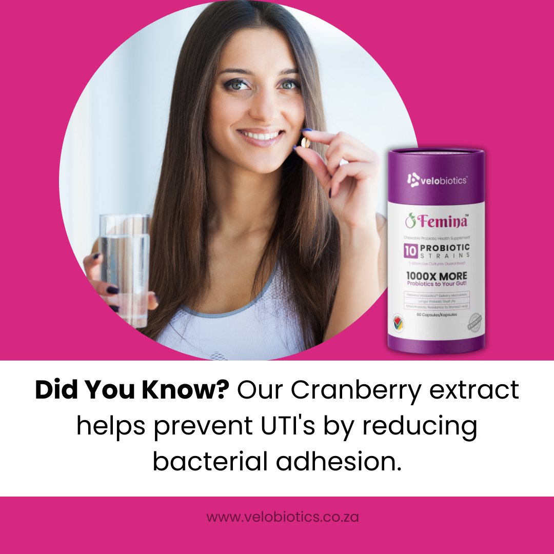 Woman holding probiotic capsule and water glass next to Femina Cranberry Probiotics for fertility and urinary health in C-Essentials Kit