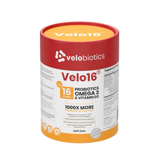 Velo16 Probiotics supplement container with Omega 3 and Vitamin D3 for gut health and cognitive support