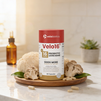 Velo16 Probiotics with Lion's Mane supplement for cognitive and gut health support