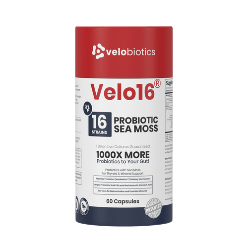 Velo16 Probiotics Sea Moss