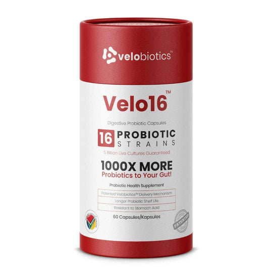 Velo16 Probiotic Digestive Capsules with advanced gut health delivery technology.