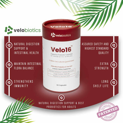 Velo16 Probiotic Capsules packaging showcasing natural digestion support and patented delivery technology.