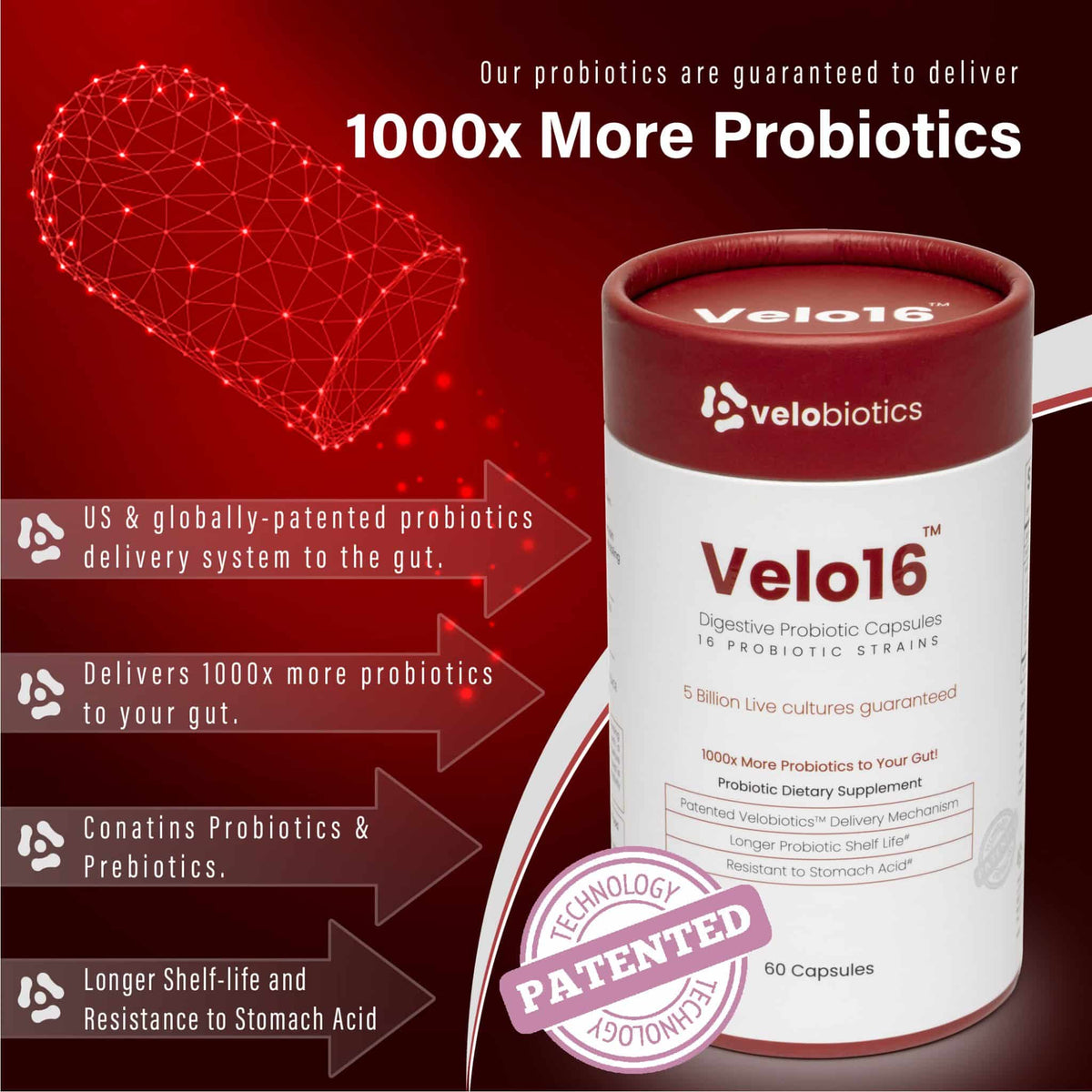 Velo16 Probiotic Digestive Capsules — image 7